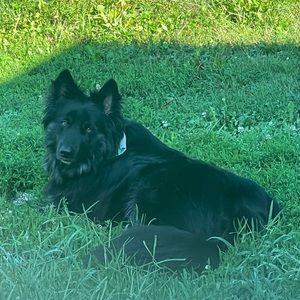 Meet your Posher, Brooklynn